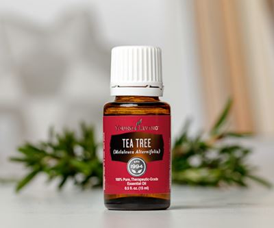Tea Tree Essential Oil