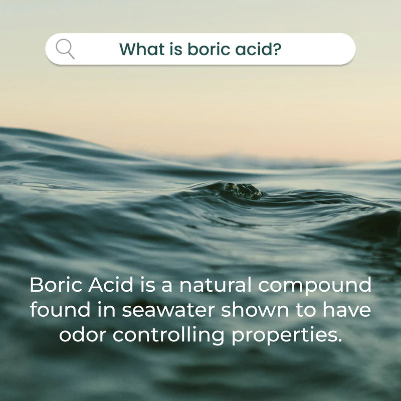 Moisturizing Boric Acid Suppositories by phD  14ccount