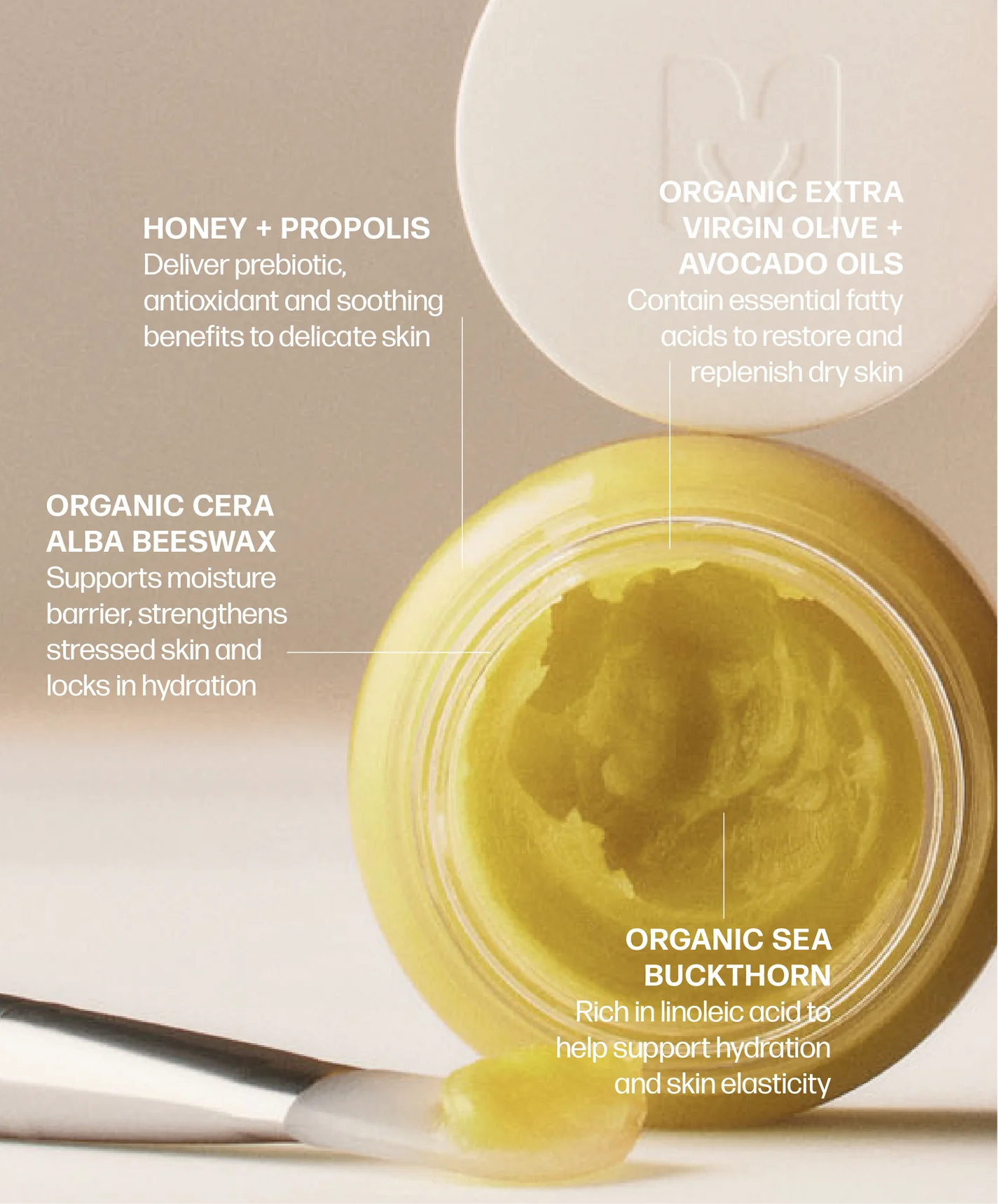 Vulvar Balm (Formerly V Magic Cream)