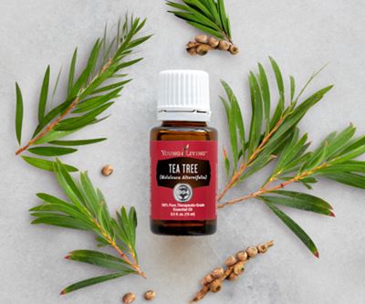 Tea Tree Essential Oil